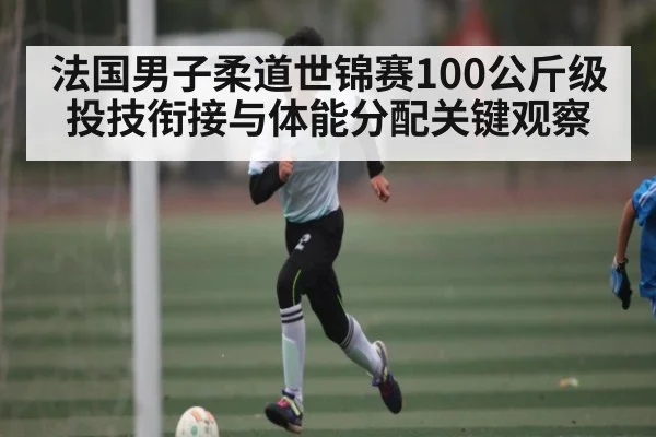 法国男子柔道世锦赛100公斤级投技衔接与体能分配关键观察