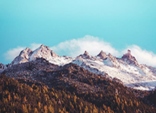 华体会体育官网-金牌含6克金500克银 米兰冬奥会奖牌价值飞涨